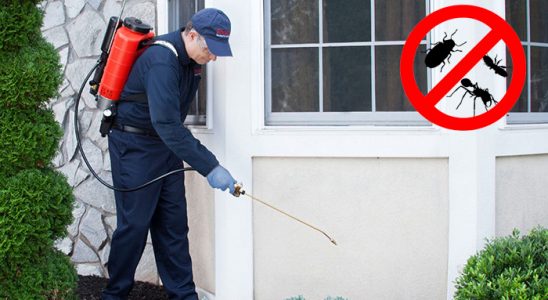 Bornova Kemirgen İlaçlama böcek ilaçlama ve haşere kontrolü — ilaclama-tr.com